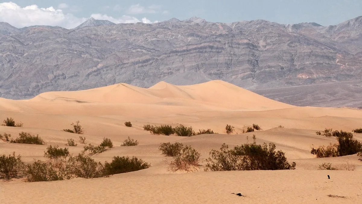 Mesquite Flat Sand Dunes - Vallée de la Mort