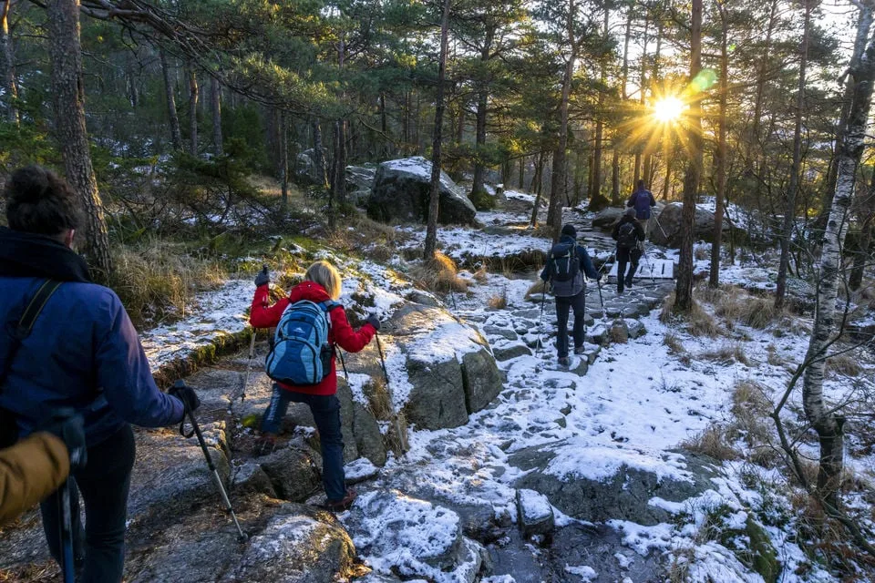 Chemin de randonnée du Preikestolen en automne