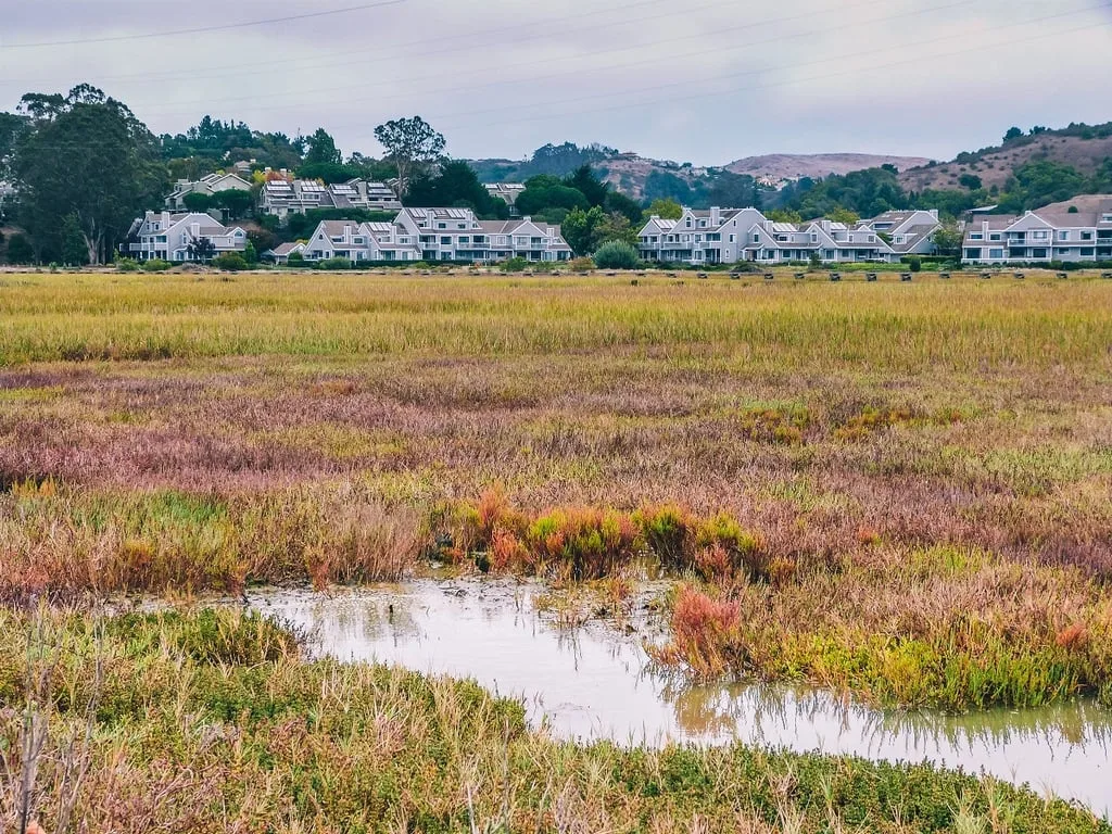 Paysage entre Sausalito et Tiburon