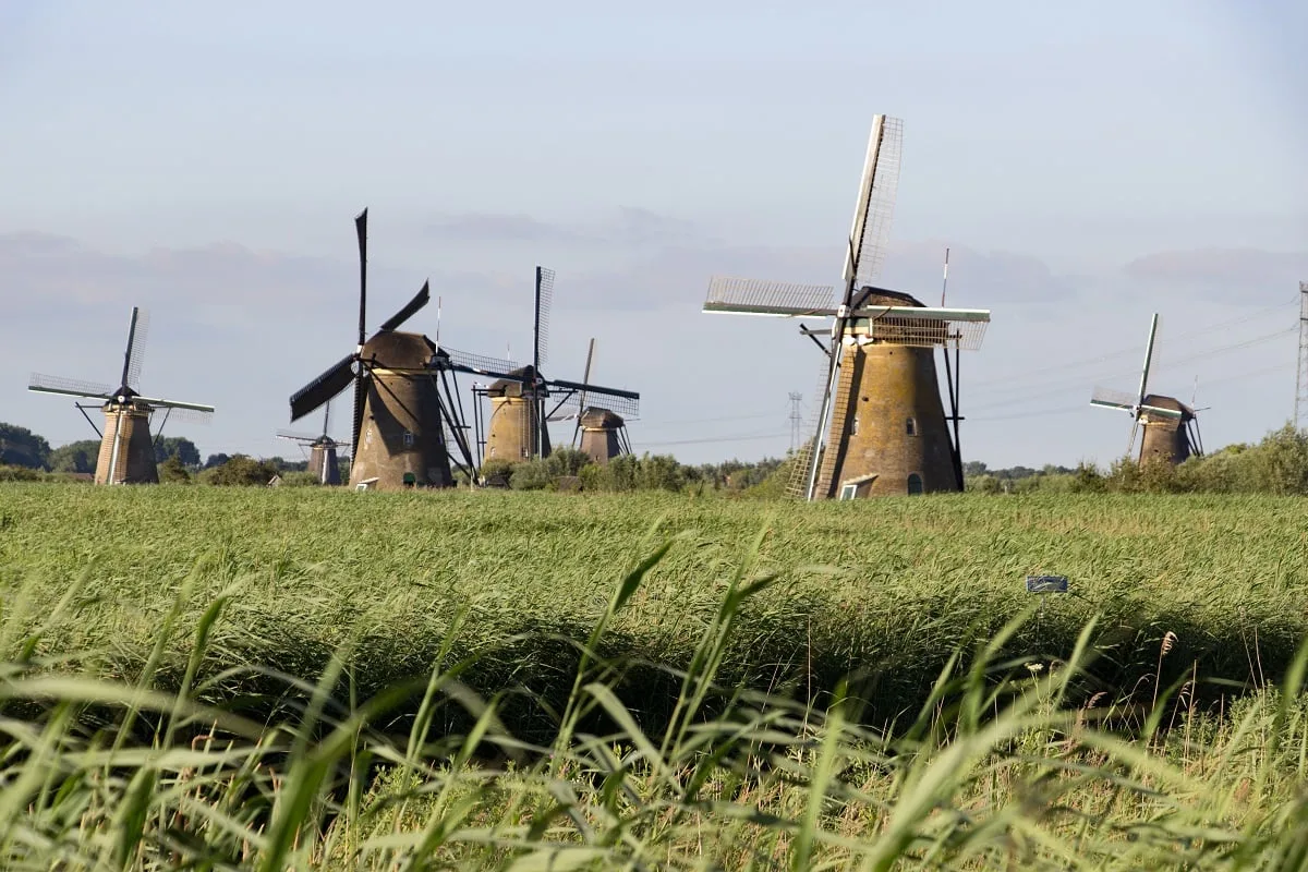 Les moulins de Kinderdijk et la végétation environnante
