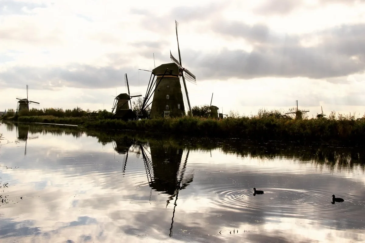 Les moulins de Kinderdijk au bord de l'eau
