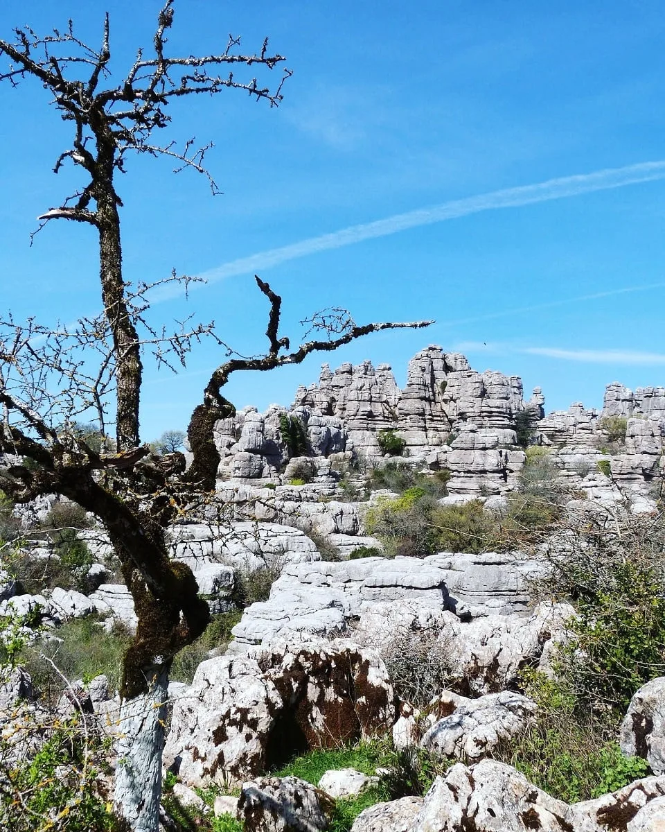 Dans le parc El Torcal en Andalousie