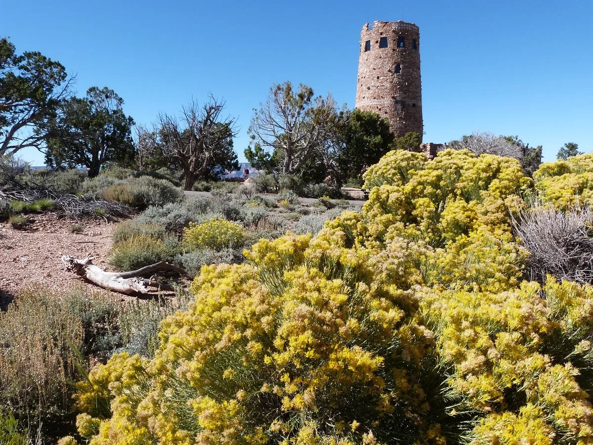 La tour d'observation du Grand Canyon