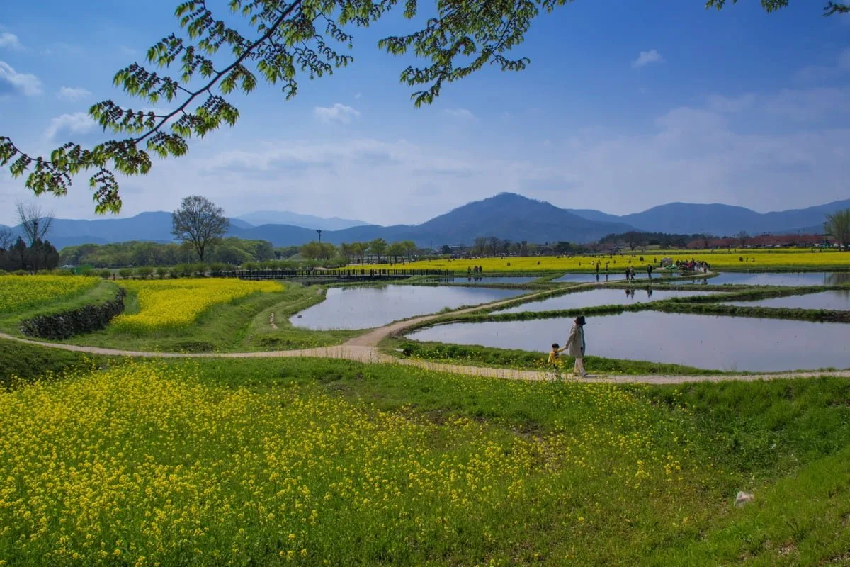 Gyeongju, dans la région du sud-est