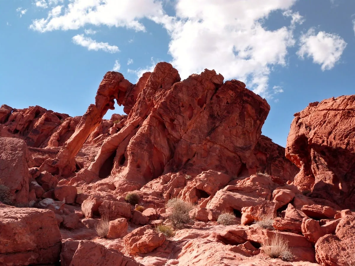 Le rocher en forme d'éléphant : Elephant Rock