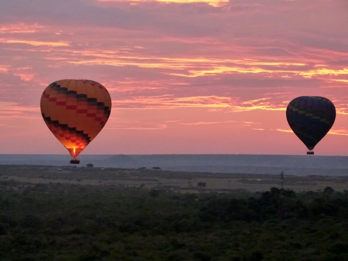 Montgolfières dans le ciel du Masai Mara au lever du soleil
