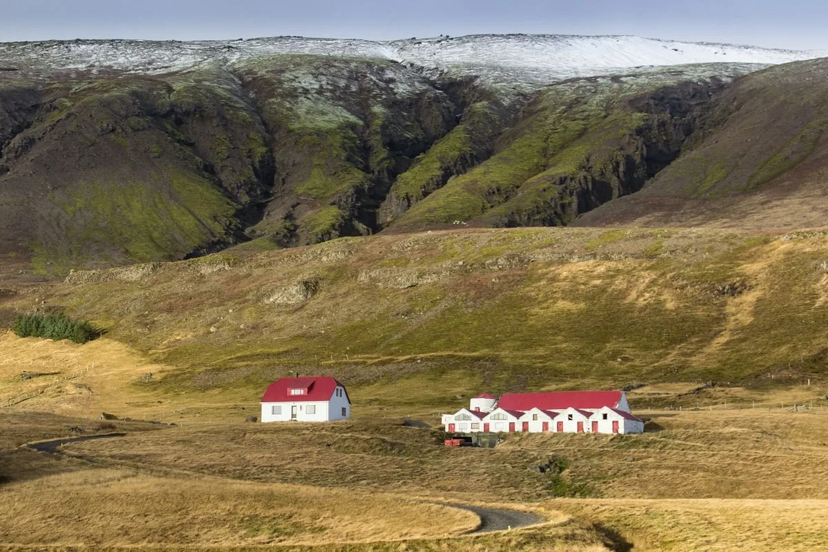 Un paysage du sud de l'Islande, près de la route N1, découvert en roadtrip.