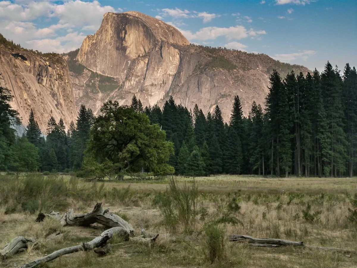 Visiter Yosemite : que faire et voir en 1 jour ?
