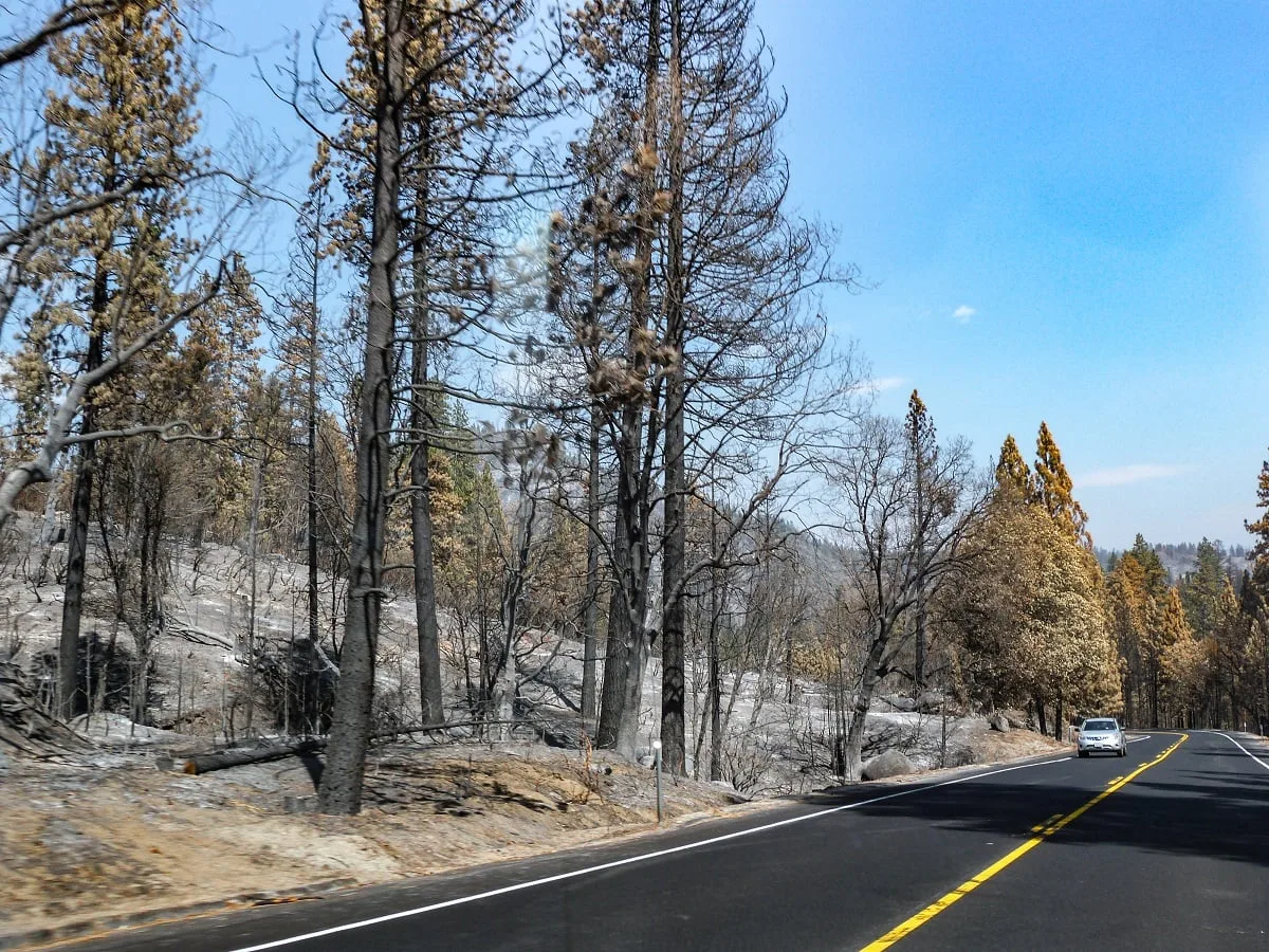 Les incendies parfois sur les routes menant à Yosemite en septembre