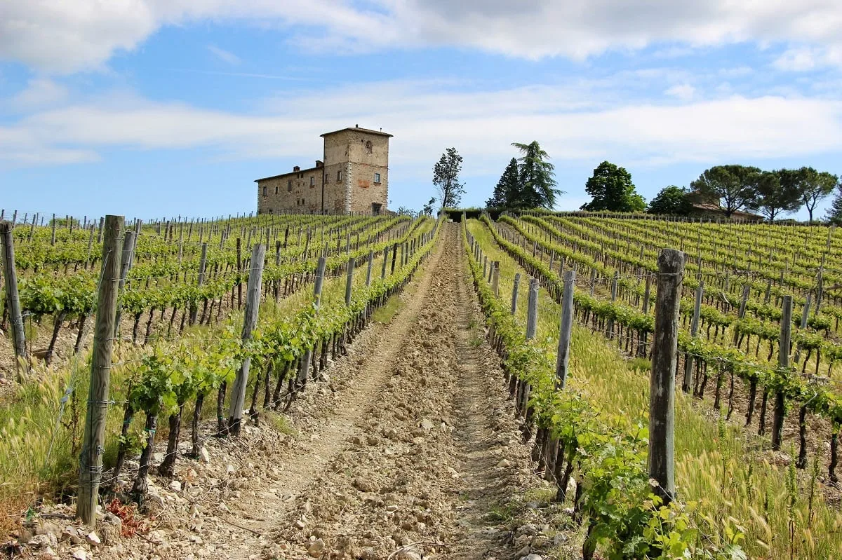 Carnet de voyage en Toscane et Venise : un paysage de Toscane