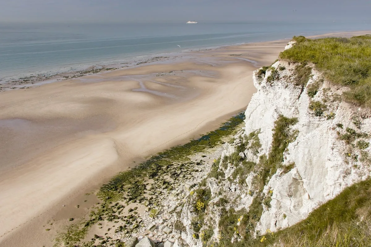 La vue sur les falaises blanches du Cap Blanc Nez et les mouettes très présentes