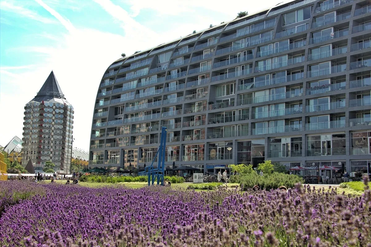 La place près de l'arrêt Blaak à Rotterdam, avec le Market Hall et les maisons cubiques