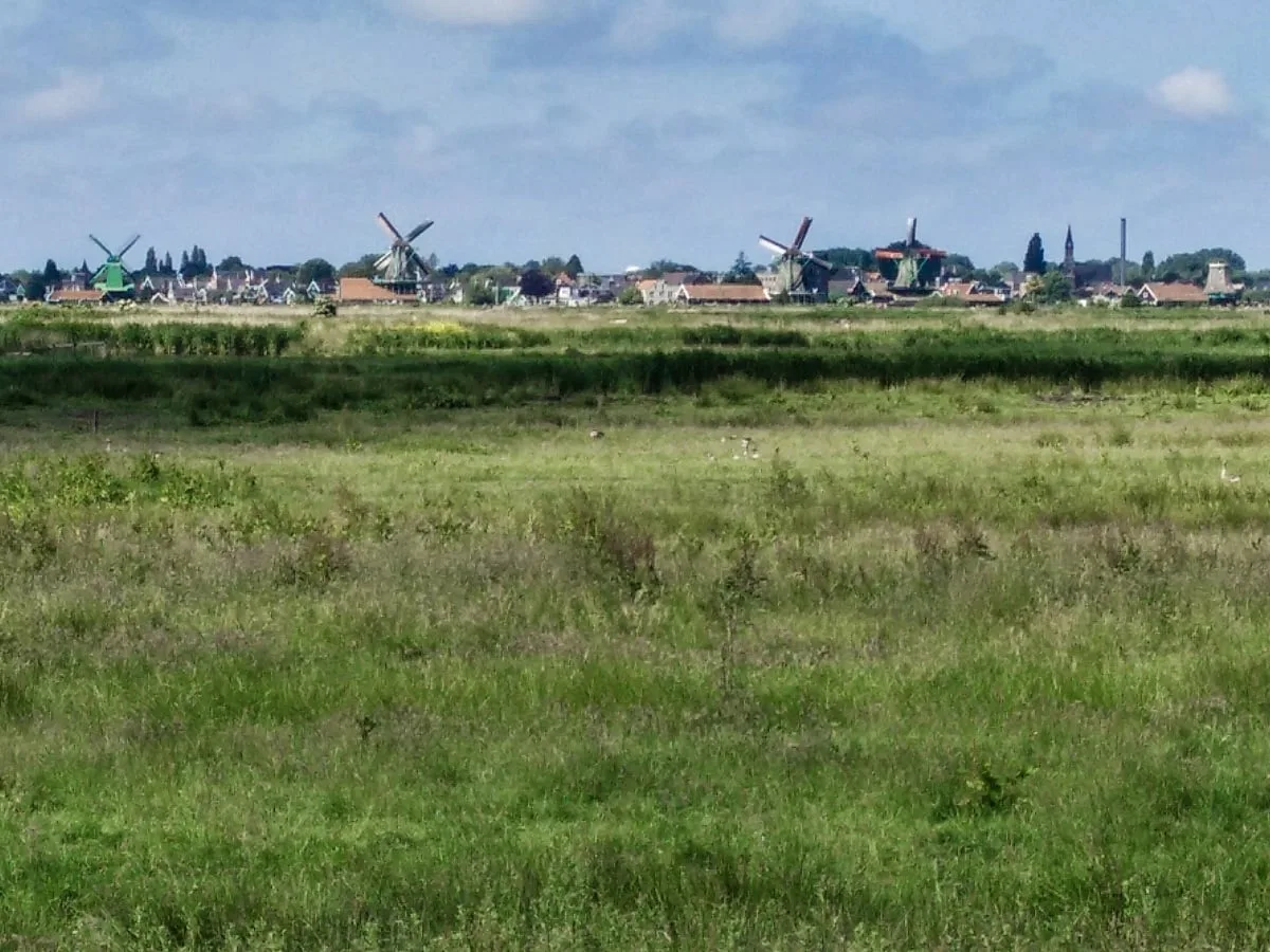 Paysage rural avec moulins à vent