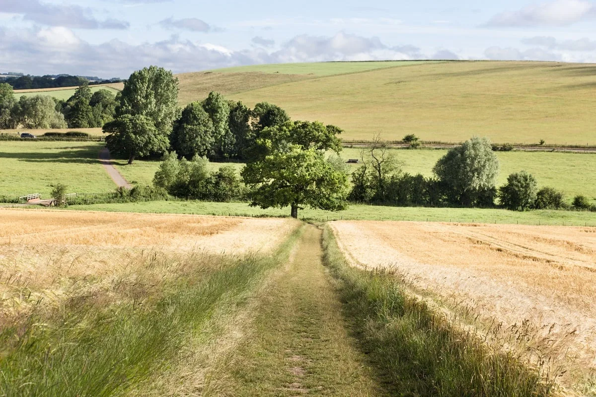Le chemin d'accès au West Kennet Long Barrow