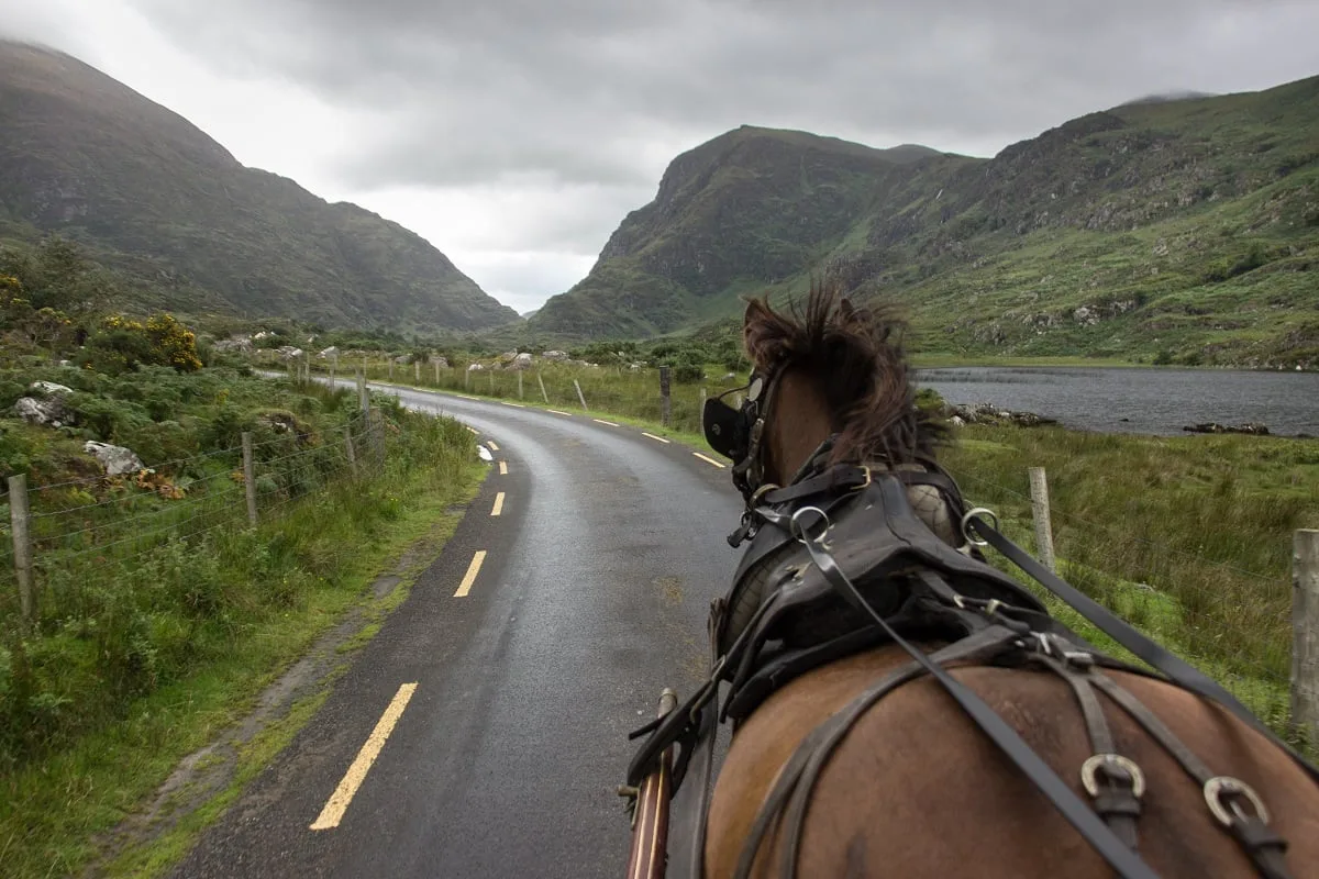 Cheval sur la route du Gap of Dunloe