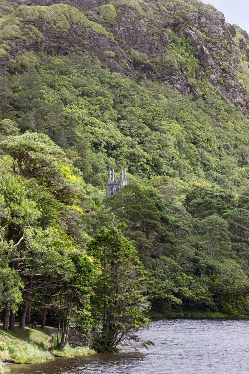 Le clocher de l'église de Kylemore qui dépasse de la fôret