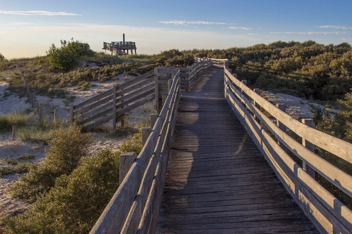 Un chemin d'accès dans les dunes du Touquet