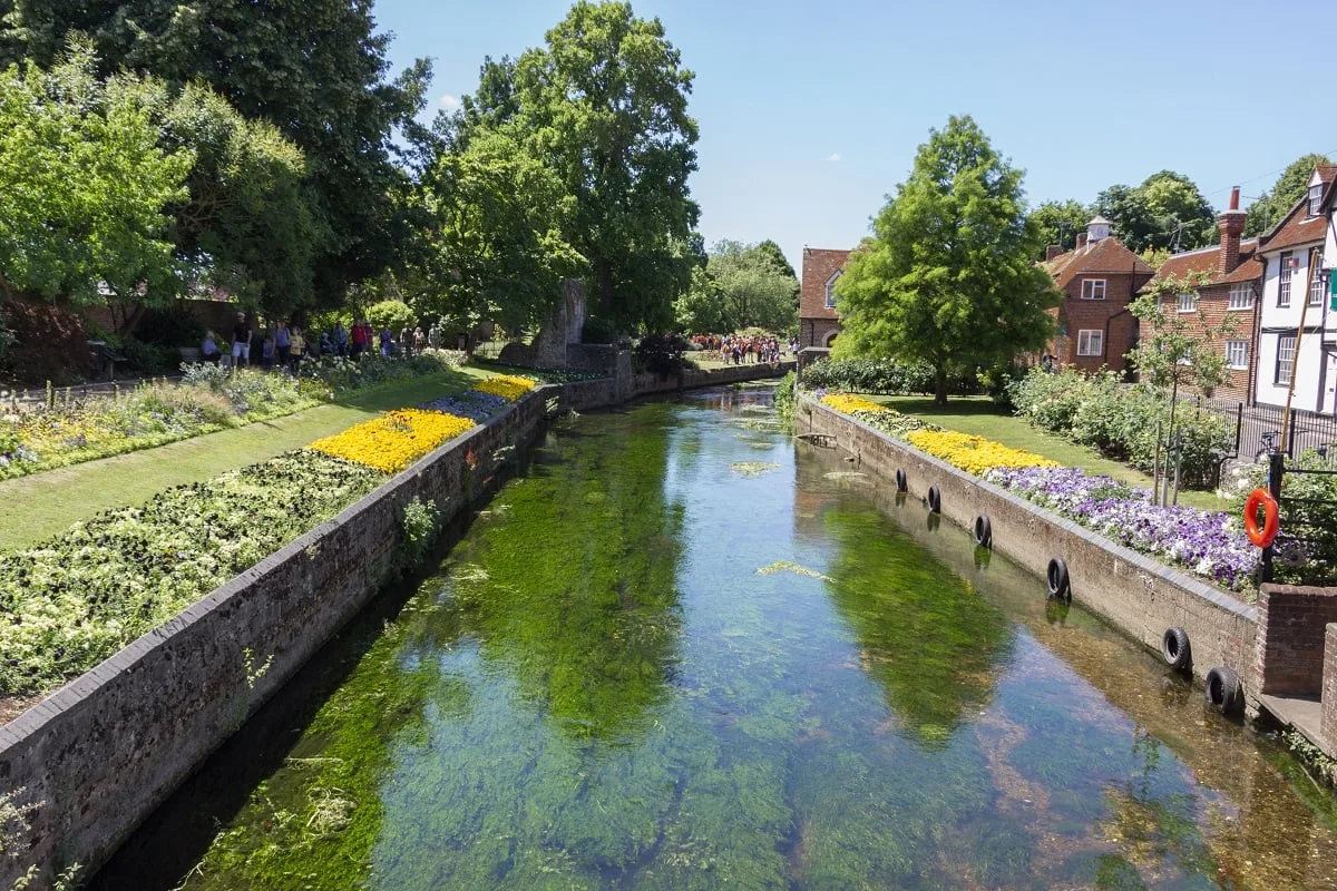 Rivière bordée de verdure et de fleurs