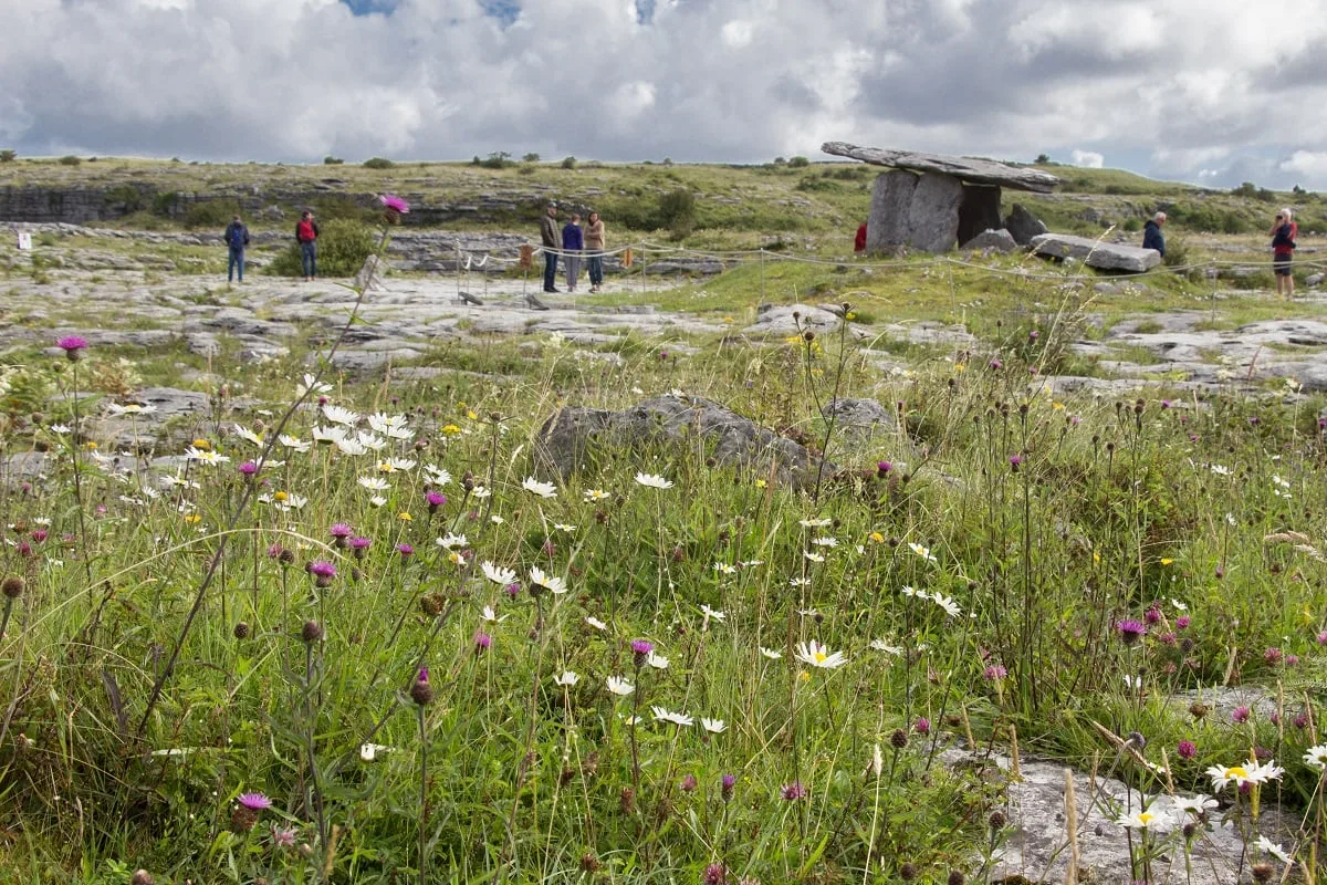 Le dolmen de Poulnabrone