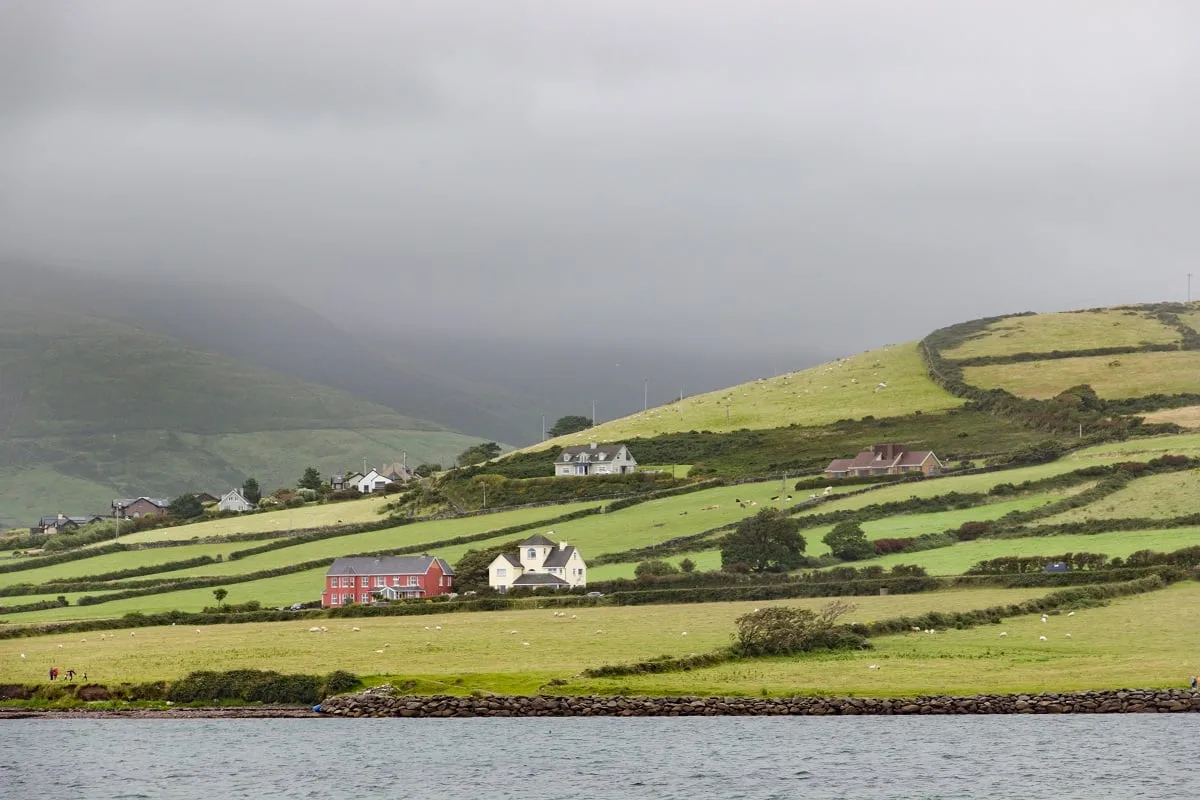 Dans la baie de Dingle en Irlande