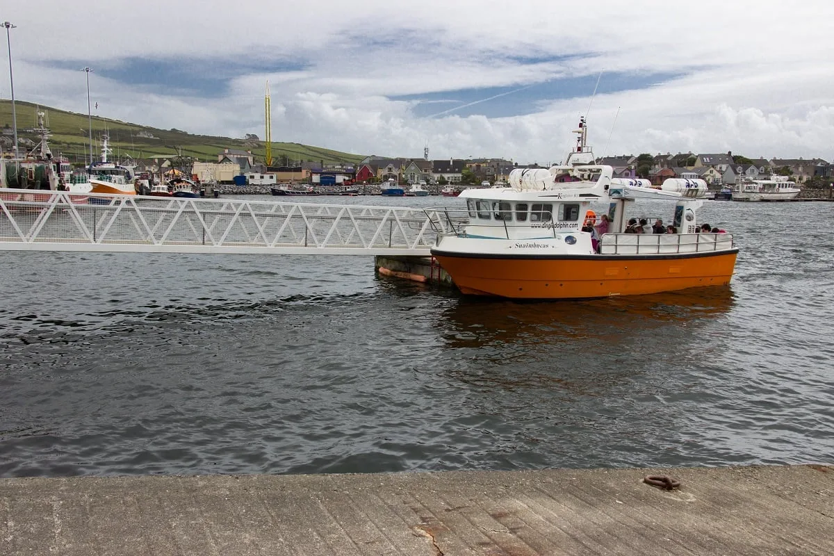 Dans le port de Dingle