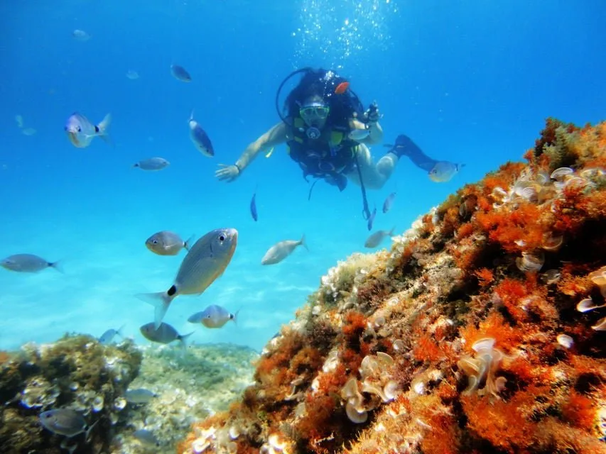 Plongée sous-marine près de Palma de Majorque