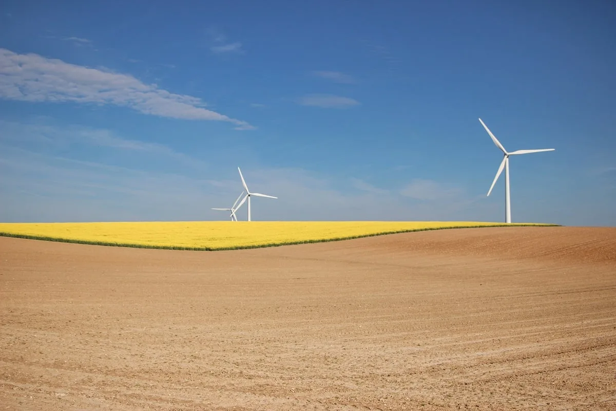 Champs sur la Côte d'Opale