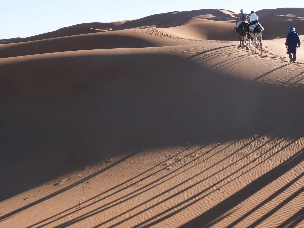 Balade en dromadaire dans les dunes de merzouga
