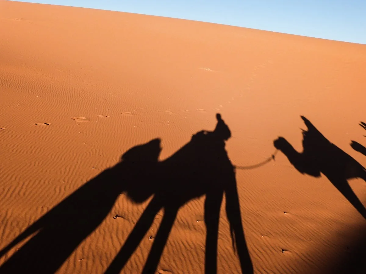 A dos de dromadaire dans le désert Erg Chebbi