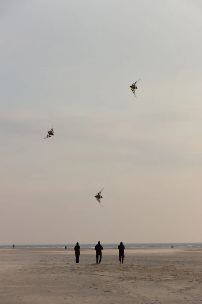 La pratique du cerf-volant sur la plage de Berck : ici l'entraînement avant les rencontres internationales
