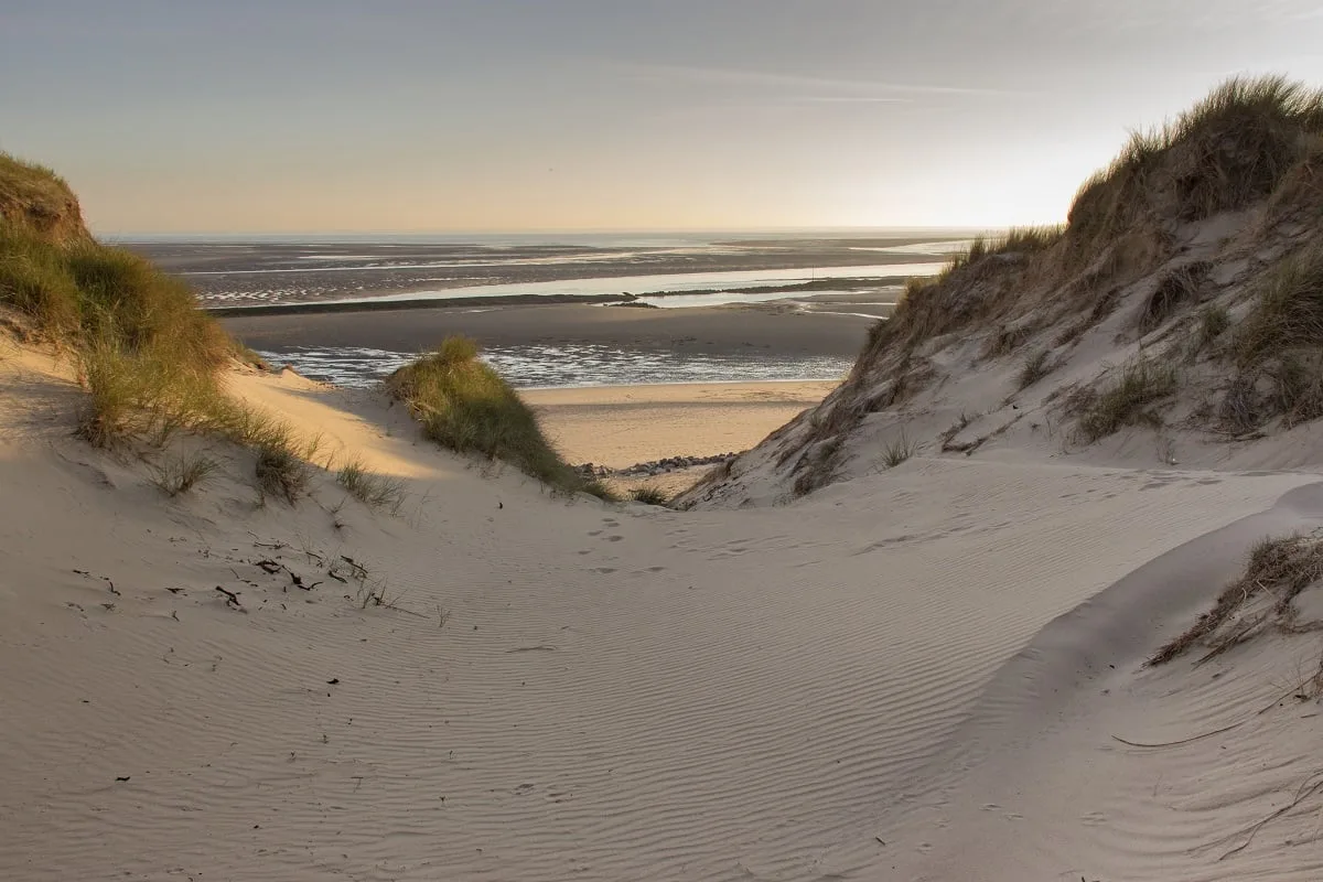 Dans les dunes de la baie d'Authie, à Berck sur mer