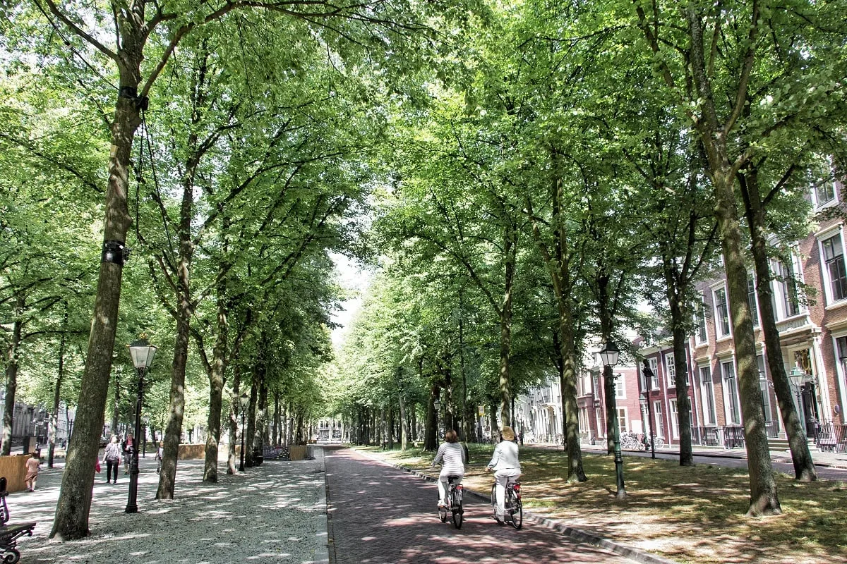 L'avenue du Lange Voorhout à La Haye