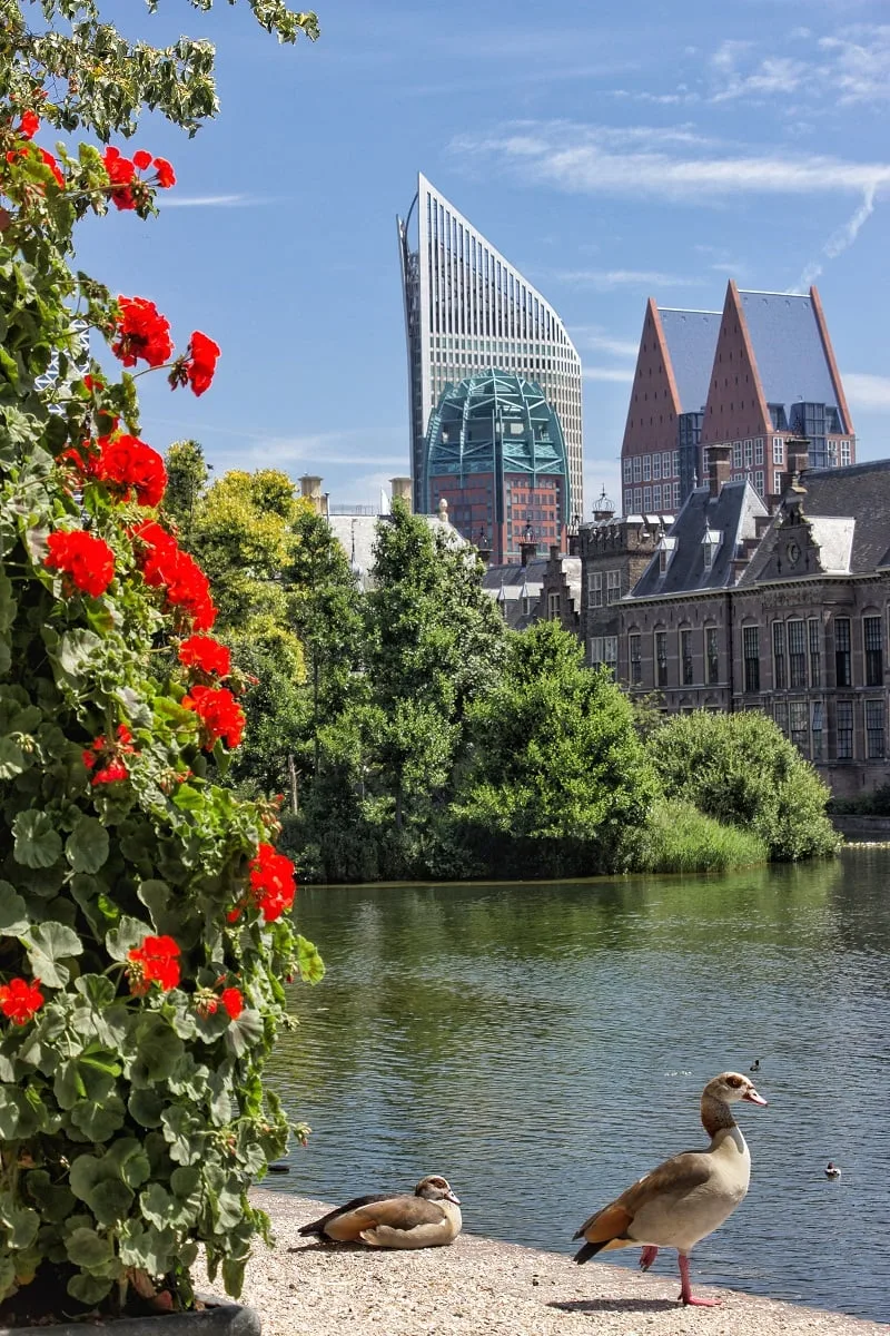 Le Binnenhof et Hofvijver de La Haye