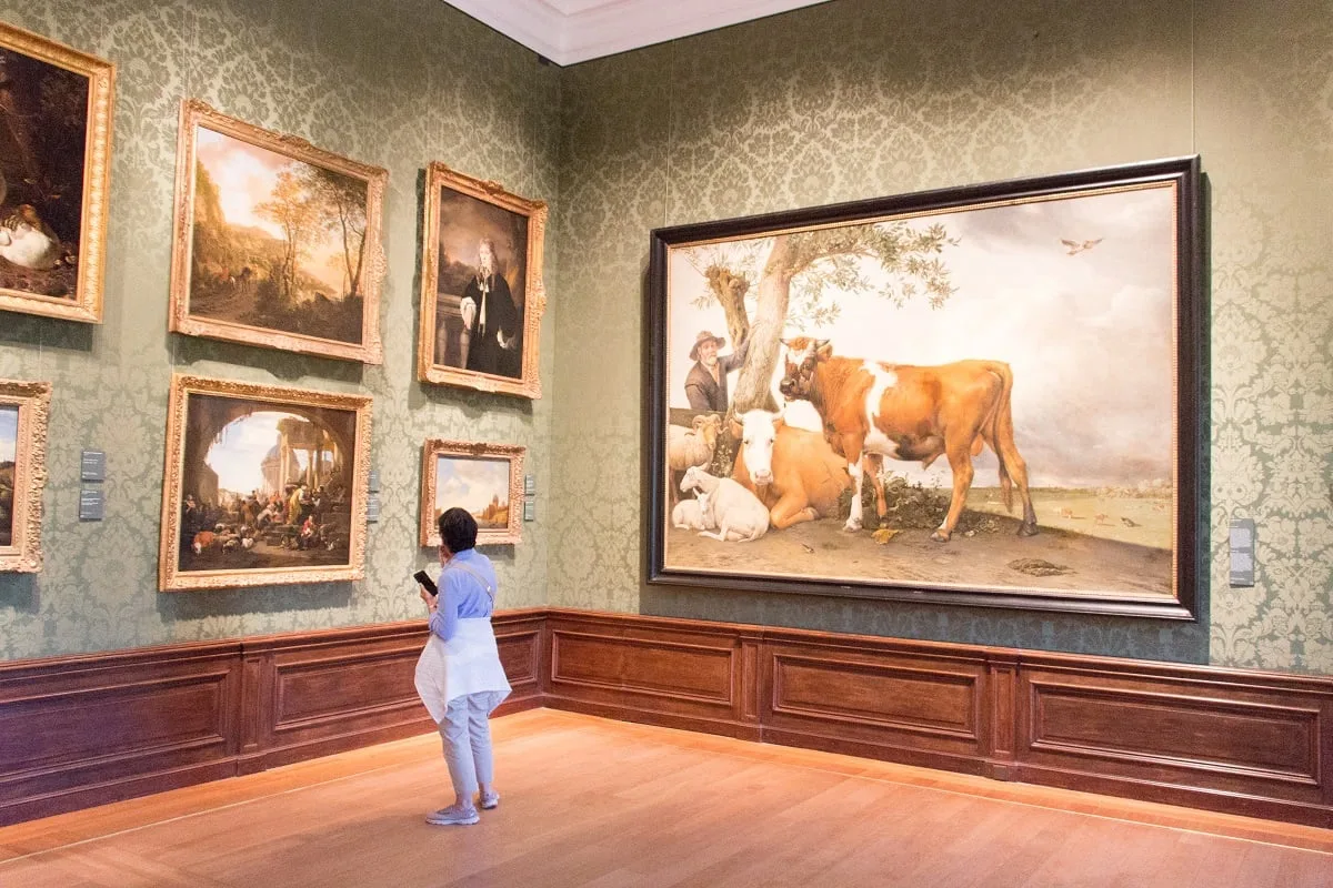 Le musée Mauritshuis et le tableau du Jeune Taureau de Potter