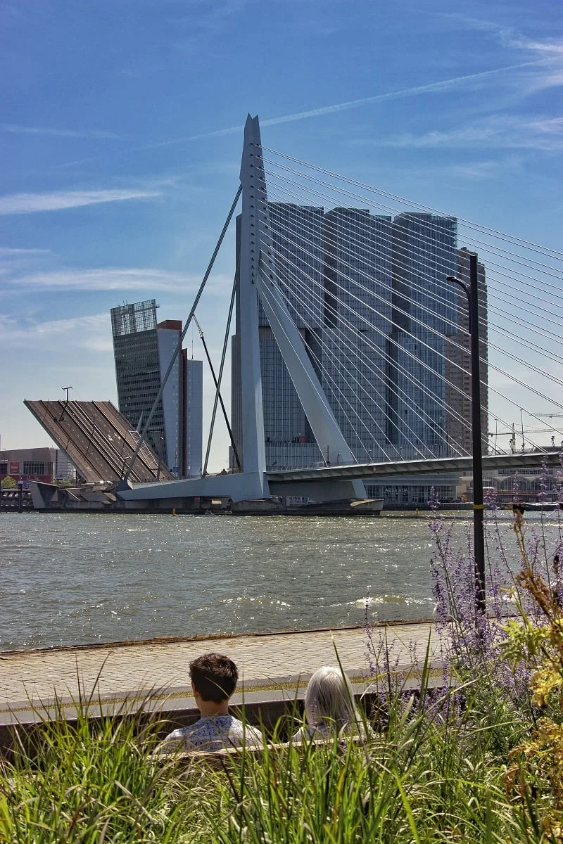 Le pont Erasme de Rotterdam