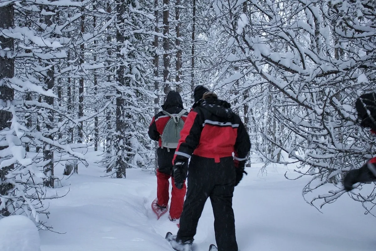 Balade en raquettes dans la forêt en Laponie