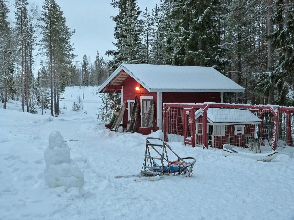 Cabane dans la forêt en Laponie