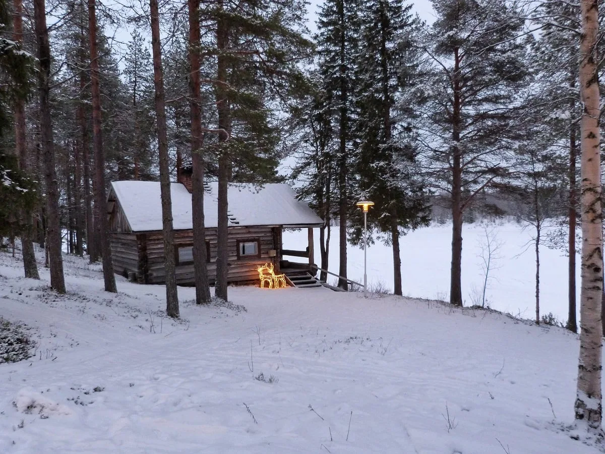 Une cabane de sauna finlandais