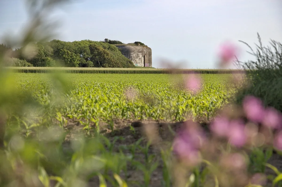 Un blockhaus près du Cap Gris-Nez