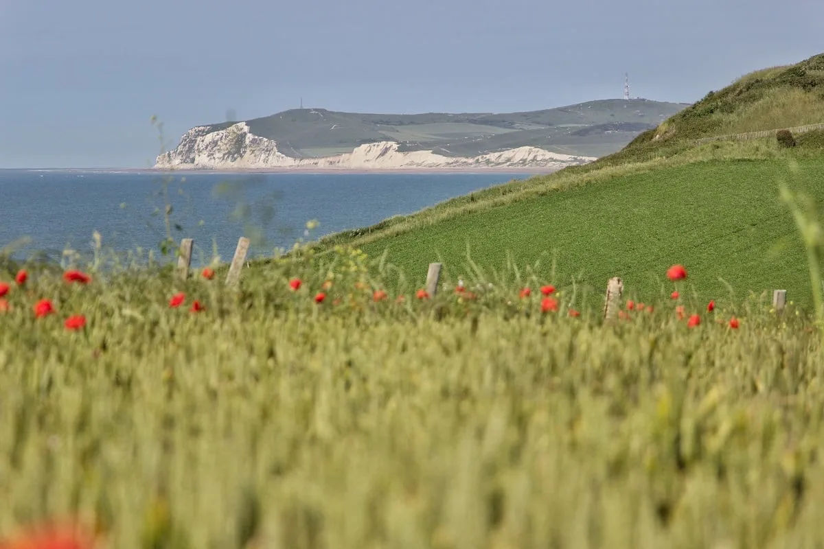 Vue sur le Cap Blanc-Nez, qui fait parti du grand site des deux caps