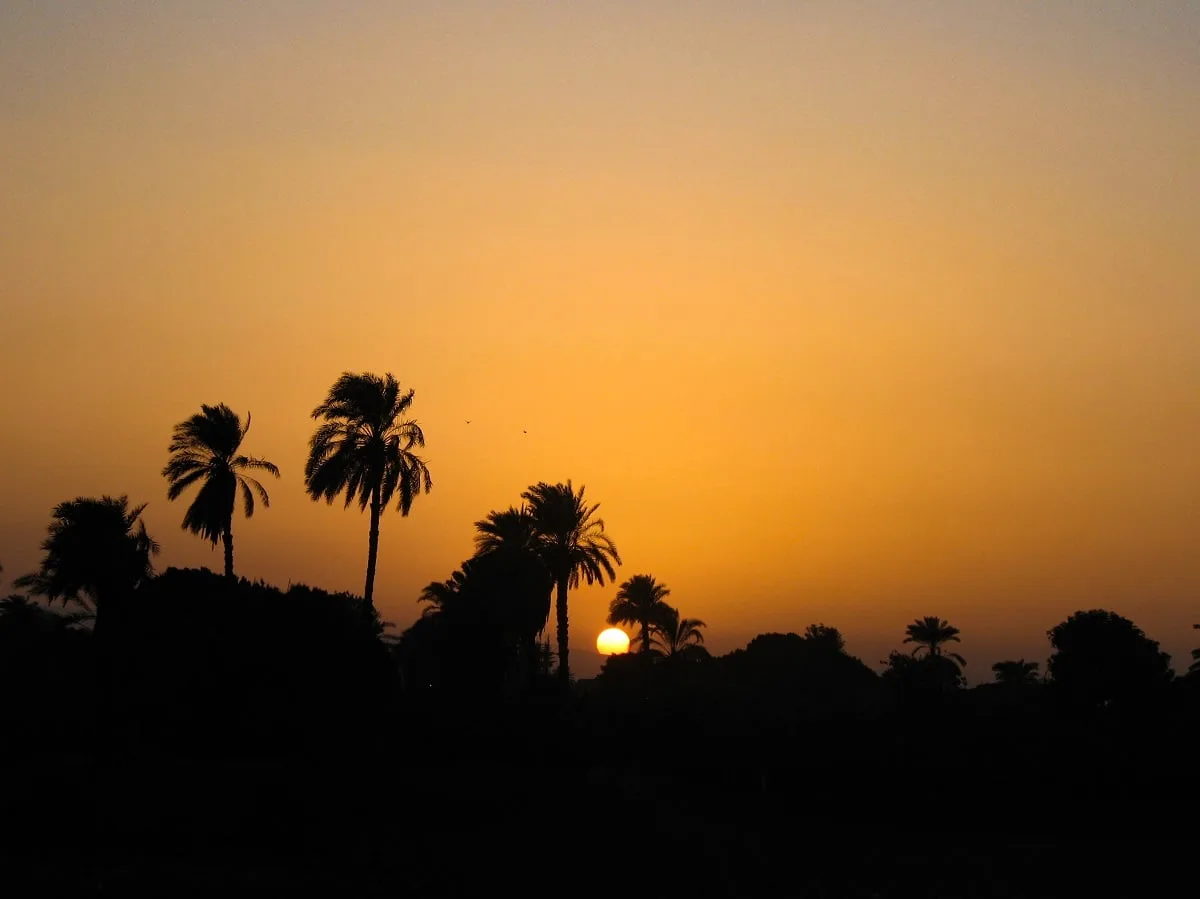 Coucher de soleil avec des arbres