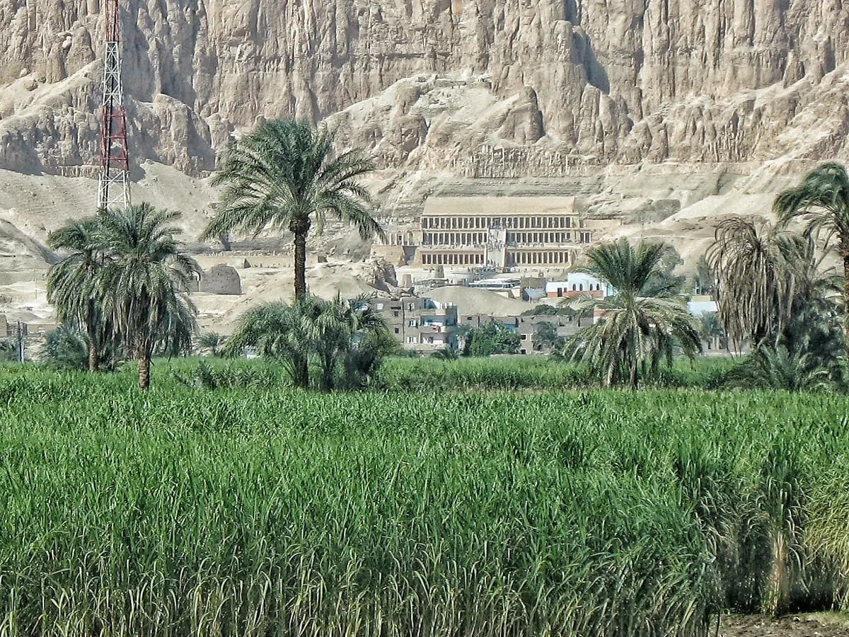 Le temple d'Hatshepsout au loin au pied d'une montagne