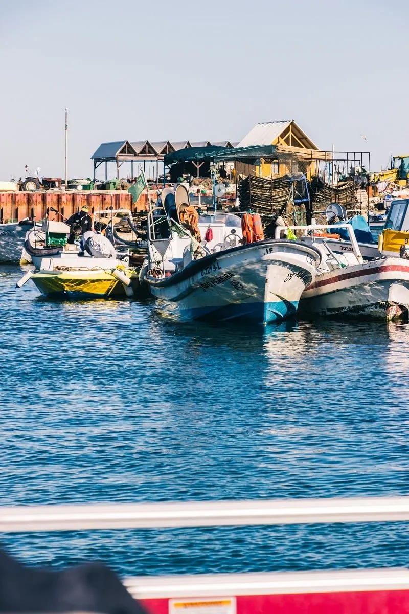 Le petit port de l'ilha de Culatra