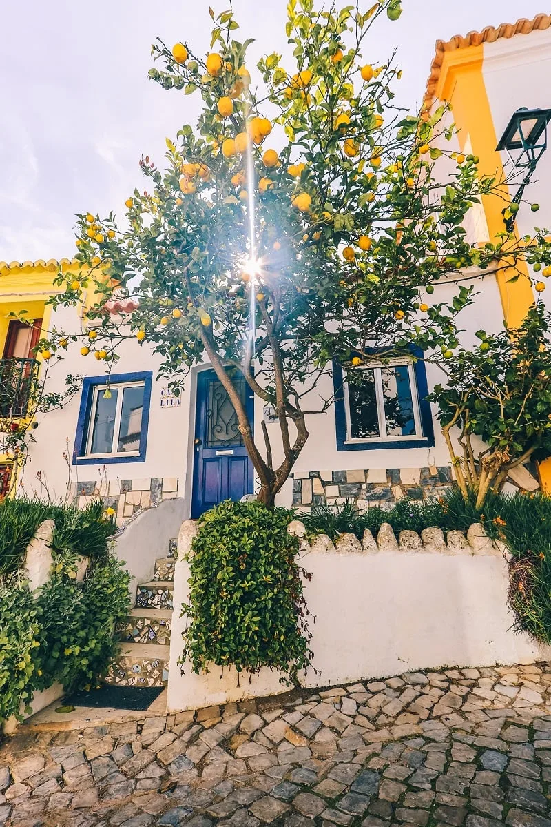 Dans une ruelle de Ferragudo