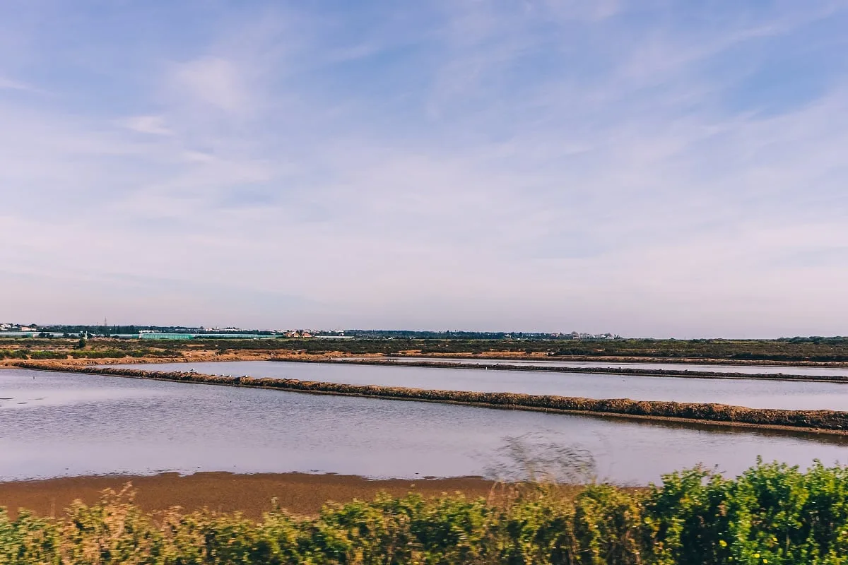 Les marais salants de Tavira