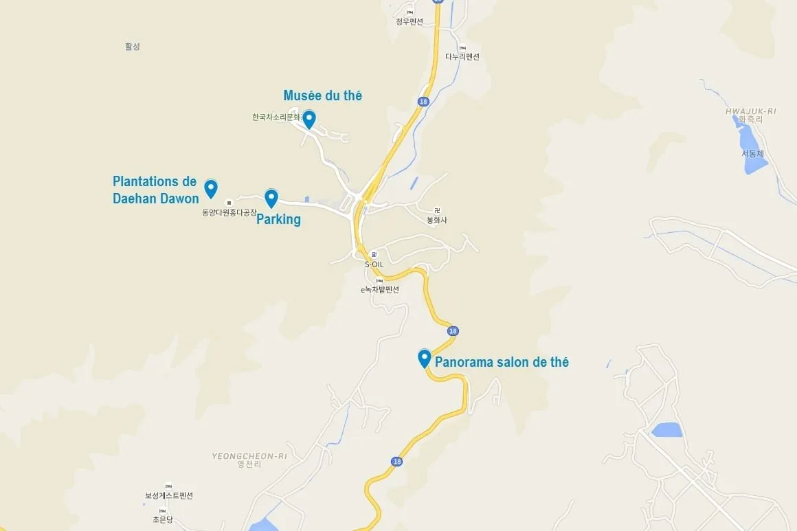Carte des plantations de thé de Boseong