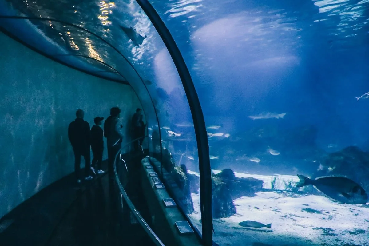 Aquarium de Barcelone