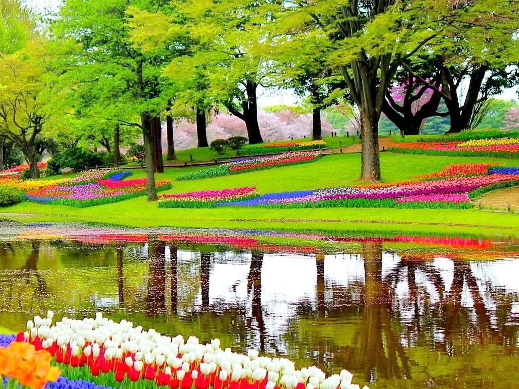 Jardins de tulipes de Keukenhof à visiter aux Pays-Bas
