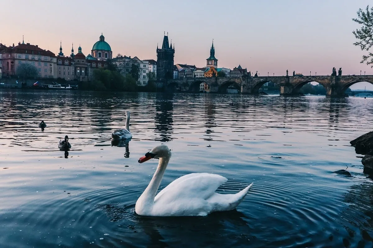 Le fleuve Vltava au lever de soleil