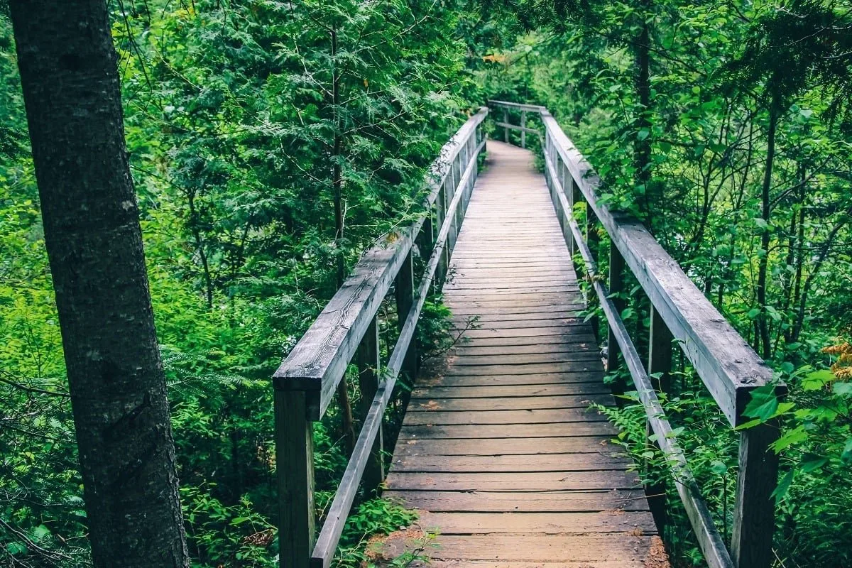 Chemin de randonnée dans le parc de la Mauricie au Québec